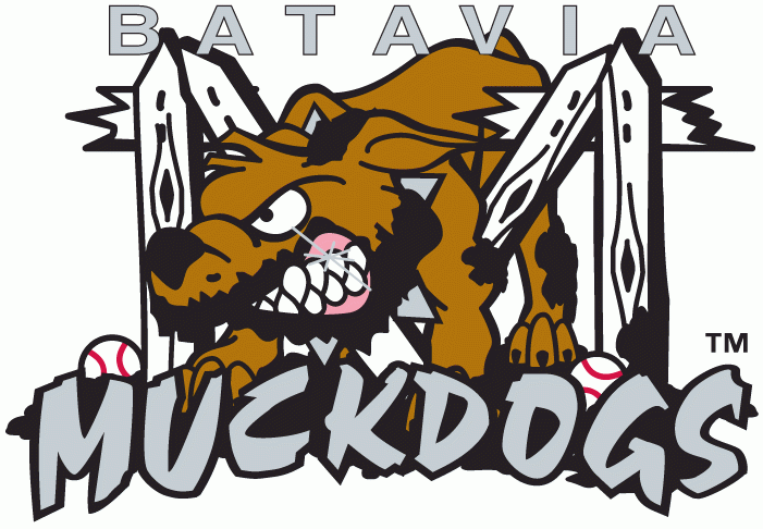 Batavia Muckdogs 1998-Pres Primary Logo iron on paper